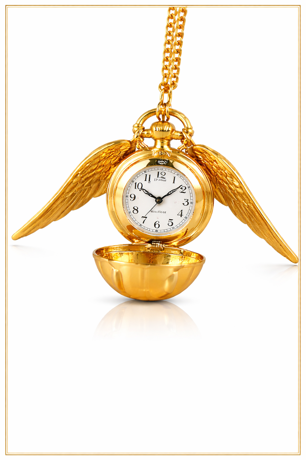 Golden Winged Pocket