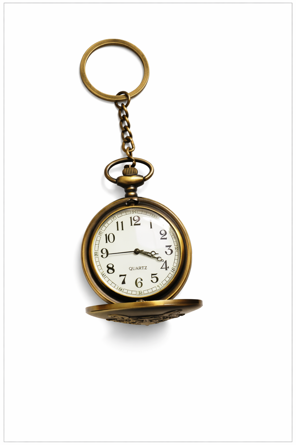 Tiger Watch - Image 2